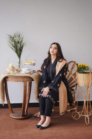 3 Pcs Dhanak Embroidered Suit – Black